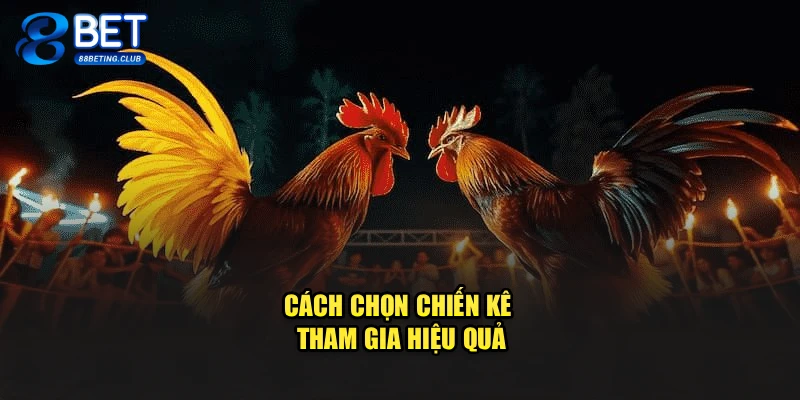 Cách chọn chiến kê tham gia hiệu quả