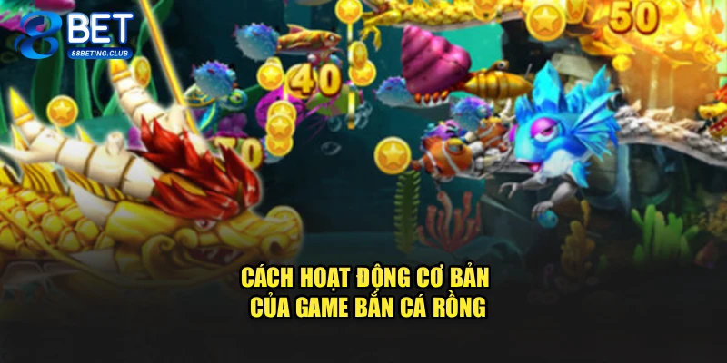 Cách hoạt động cơ bản của game Bắn Cá Rồng