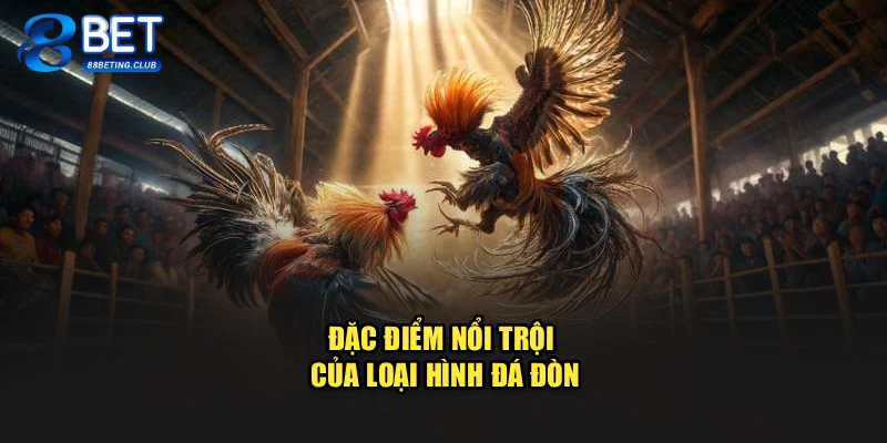 Đặc điểm nổi trội của loại hình đá đòn