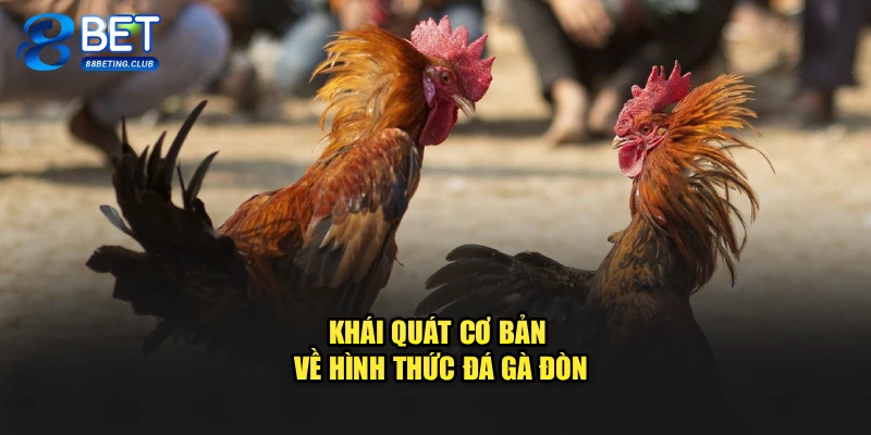 Khái quát cơ bản về hình thức đá gà đòn