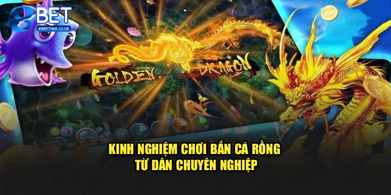 Kinh nghiệm chơi Bắn Cá Rồng từ dân chuyên nghiệp