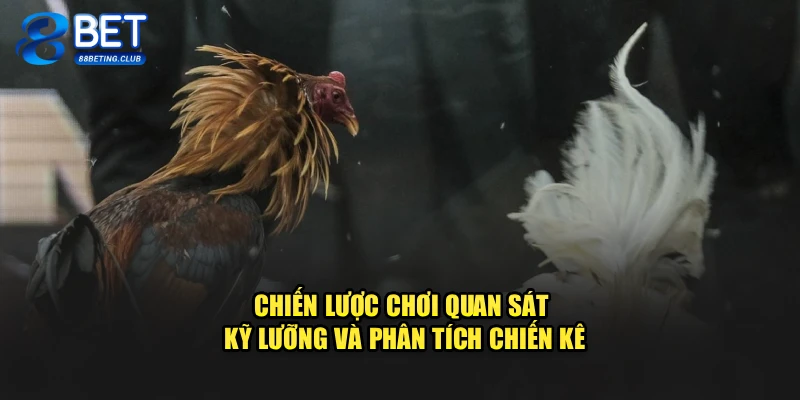 Chiến lược chơi quan sát kỹ lưỡng và phân tích chiến kê