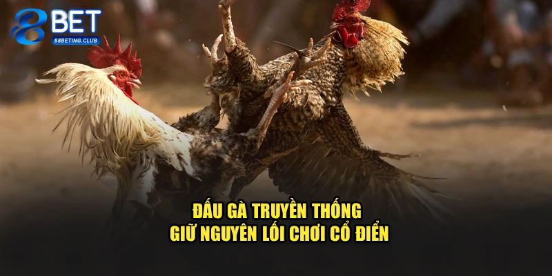 Đấu gà truyền thống giữ nguyên lối chơi cổ điển