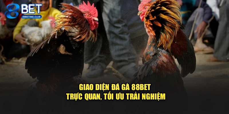 Giao diện Đá gà 88BET trực quan, tối ưu trải nghiệm